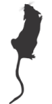 Rodent silhouette